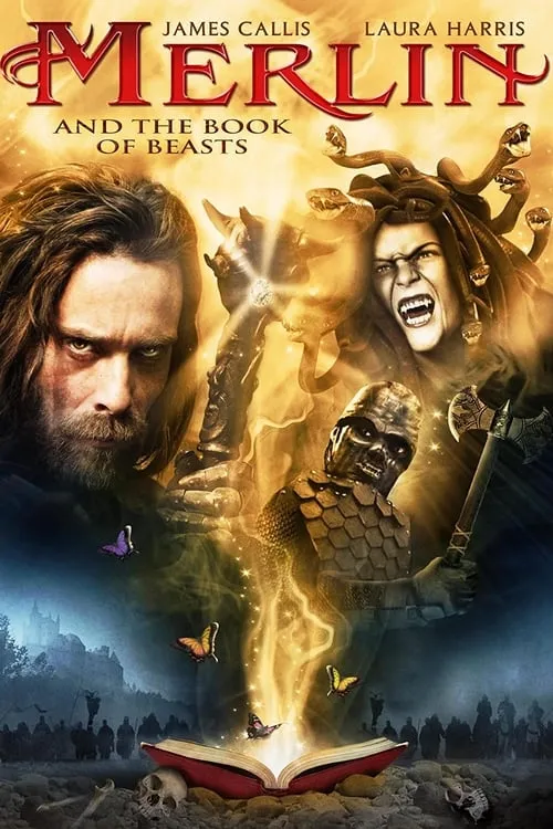 Merlin and the Book of Beasts (movie)
