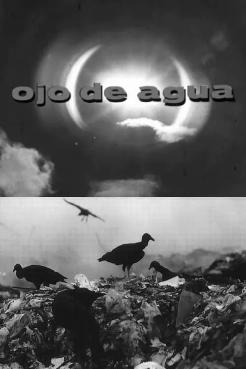 Ojo de Agua (фильм)