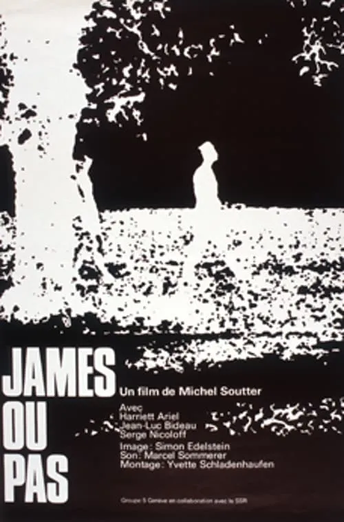 James ou pas (movie)