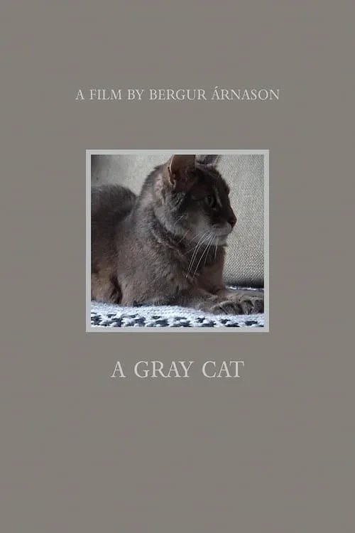 A gray cat (movie)