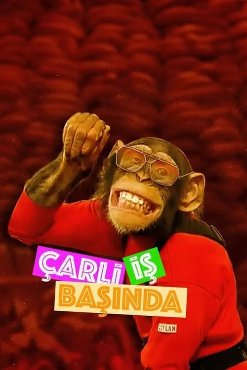 Çarli İş Başında (сериал)