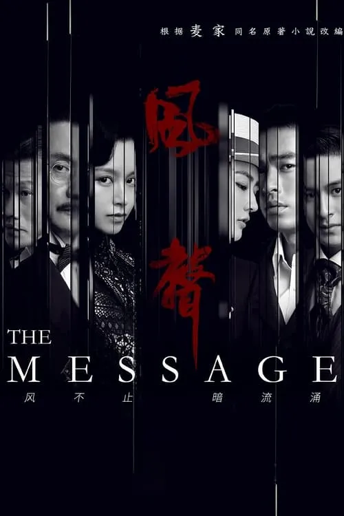 The Message (series)