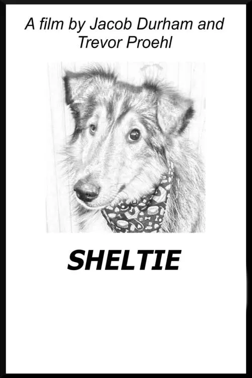 Sheltie (movie)