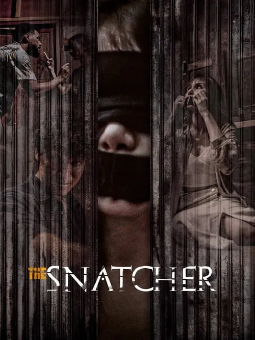 The Snatcher (фильм)