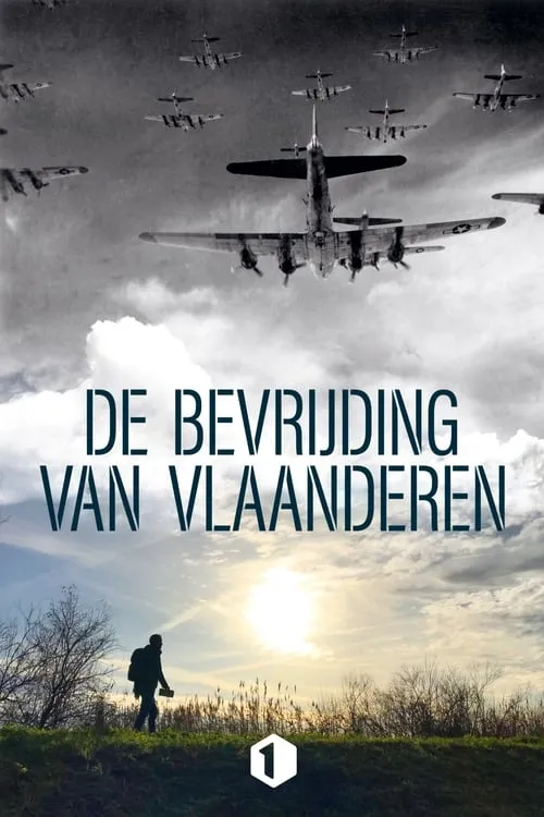 De bevrijding van Vlaanderen