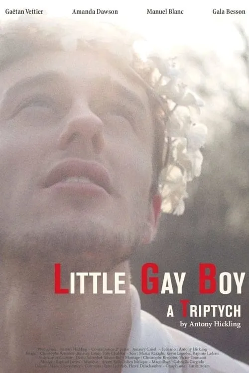 Little Gay Boy (movie)