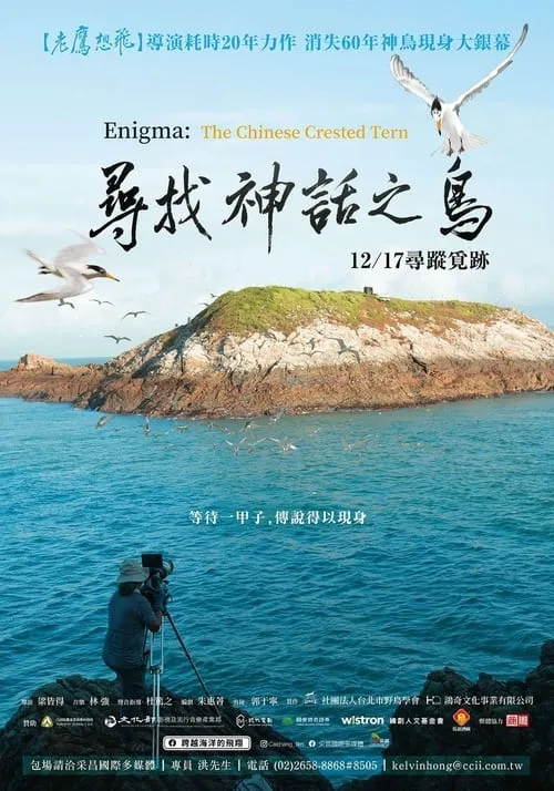 Enigma: The Chinese Crested Tern (movie)