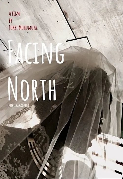 Facing North (movie)