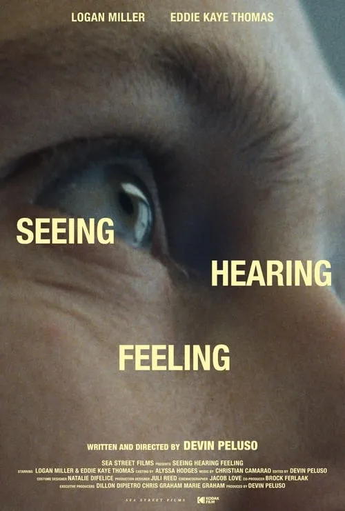 Seeing Hearing Feeling