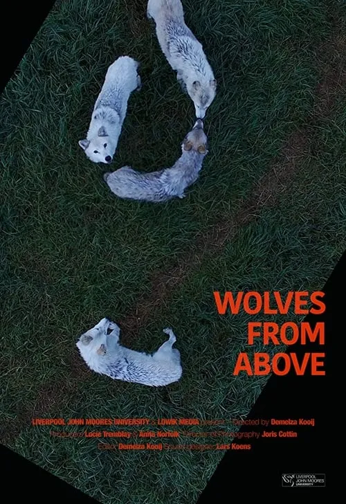 Wolves From Above (фильм)