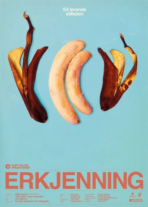 Erkjenning (movie)