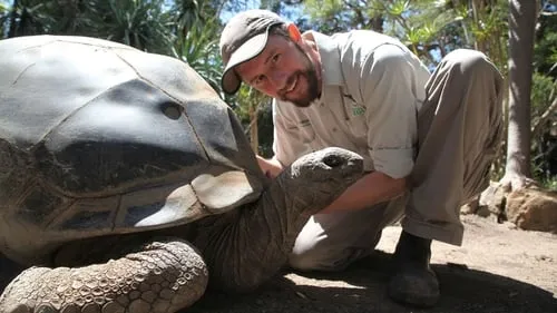 103-Year-Old Tortoise