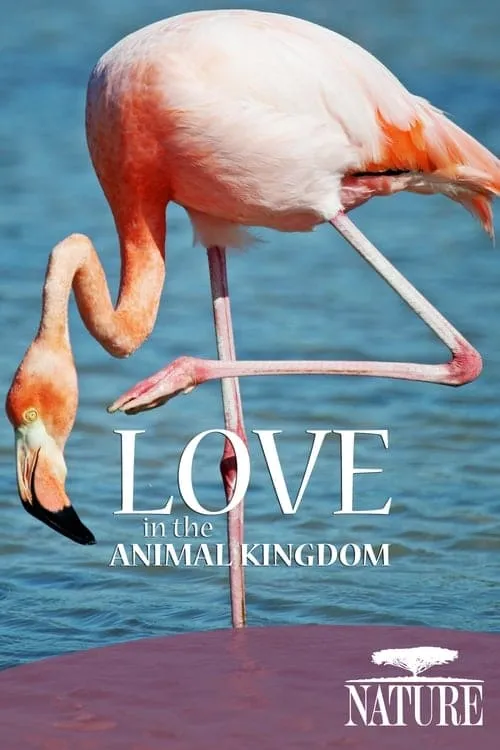 Nature: Love in the Animal Kingdom (фильм)