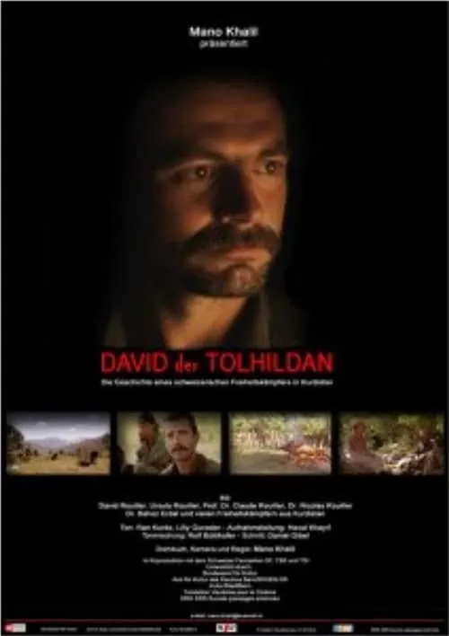 David der Tolhildan