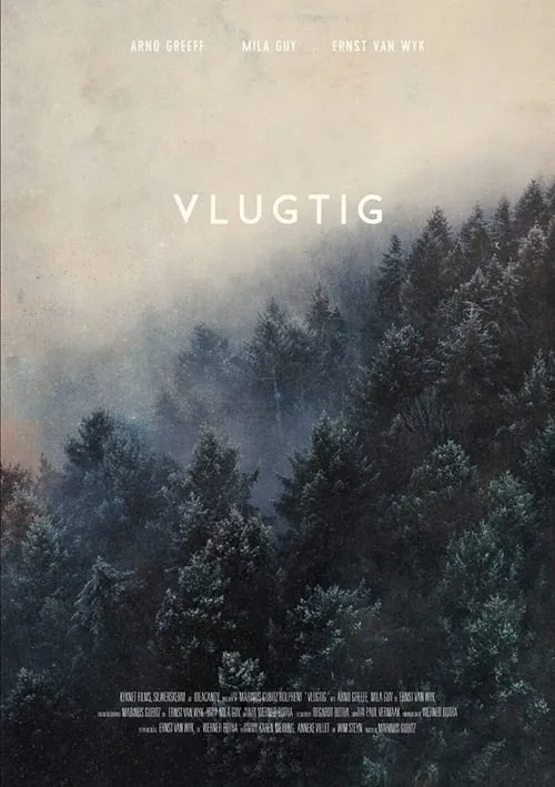 Vlugtig