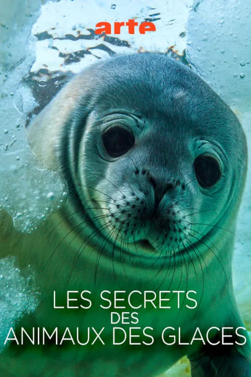 Les Secrets des Animaux des Glaces (movie)