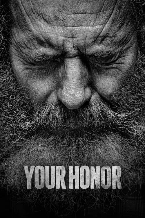 Your Honor (series)