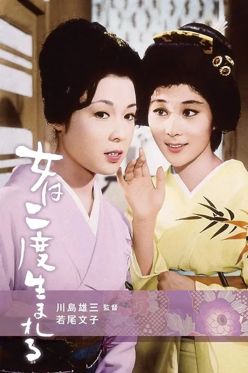 A Geisha's Diary (movie)