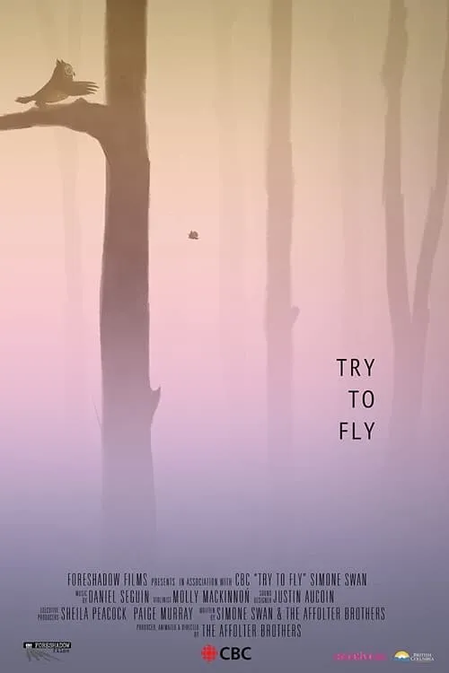 Try to Fly (movie)