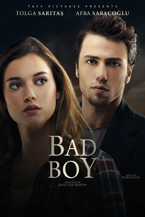 Bad Boy (movie)