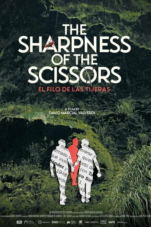 The Sharpness of the Scissors (movie)