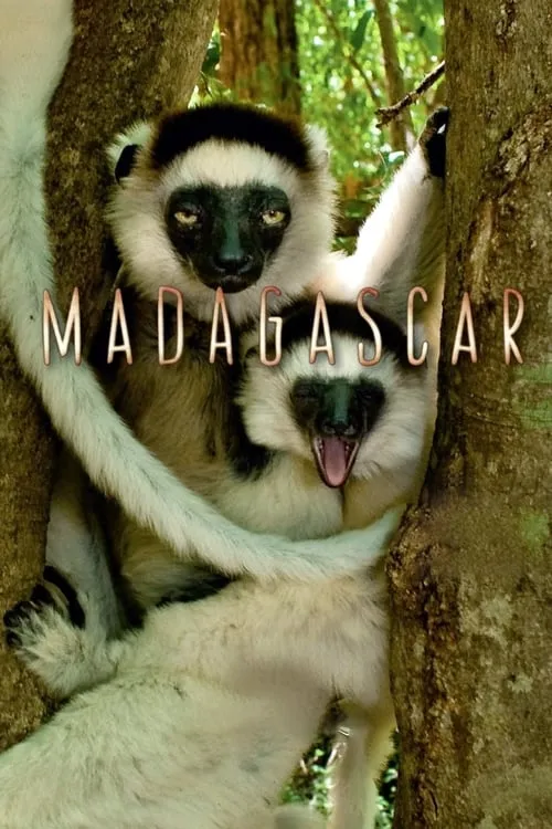 Madagascar (series)