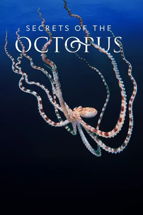 Secrets of the Octopus (series)