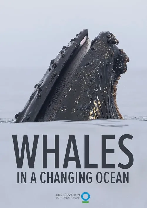 Whales in a Changing Ocean (movie)