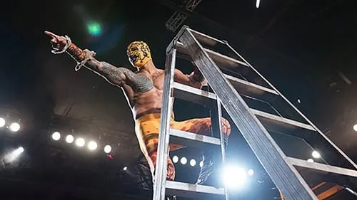 The Top of the Ladder