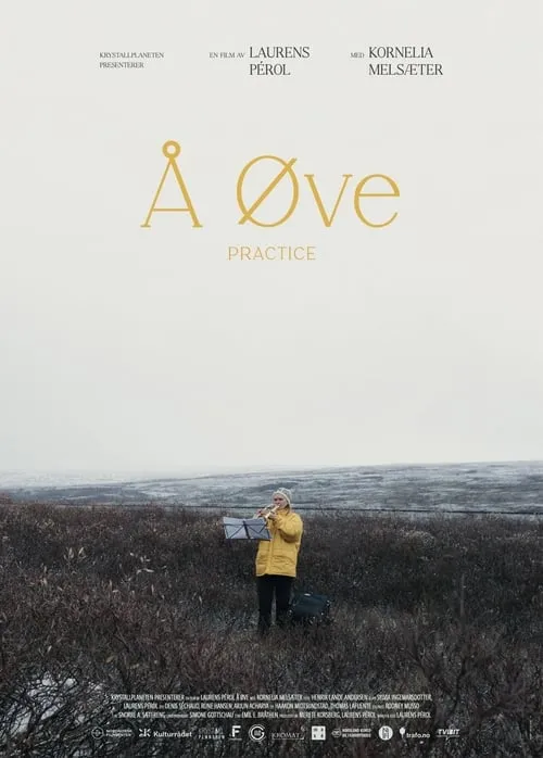 Å øve (фильм)