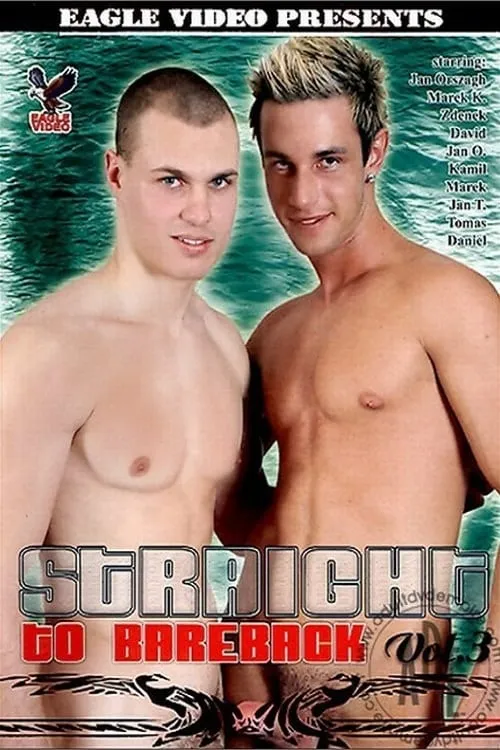 Straight to Bareback 3 (фильм)