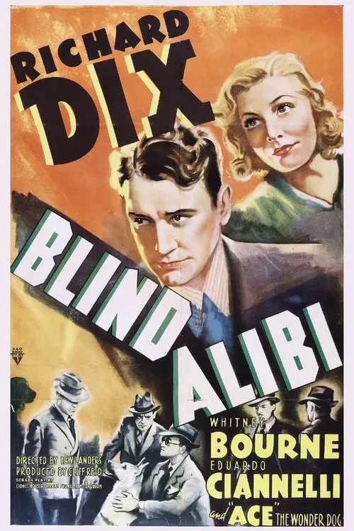 Blind Alibi (movie)