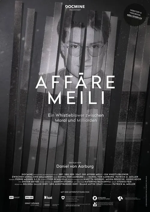 Die Affäre Meili (фильм)