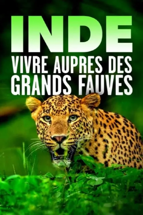 Inde - Vivre auprès des grands fauves (фильм)