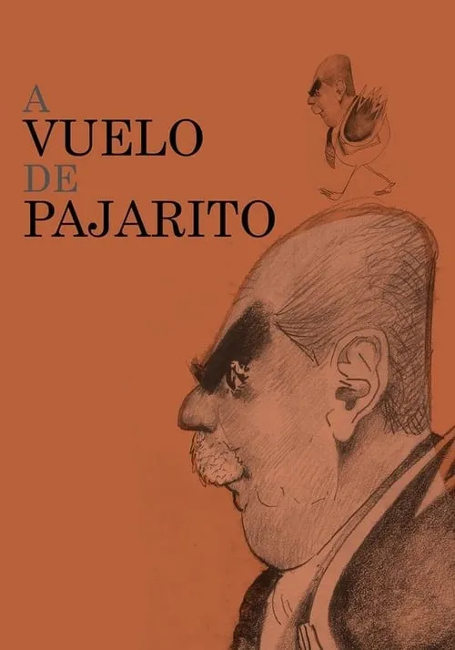 A vuelo de pajarito (фильм)