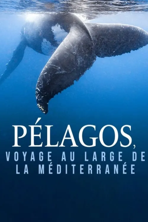 Pélagos, voyage au large de la Méditerranée (movie)