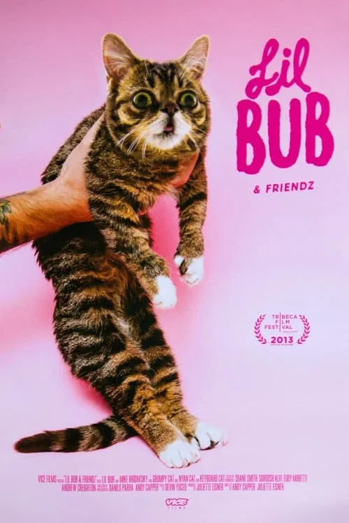 Lil Bub & Friendz (фильм)