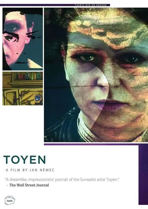 Toyen (фильм)