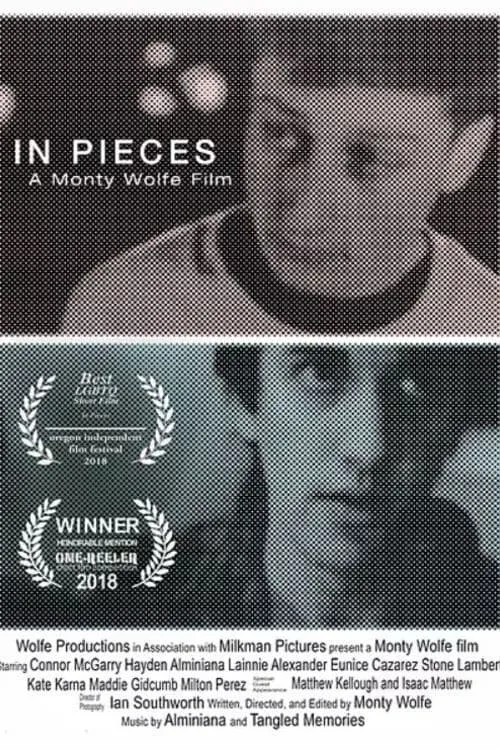 In Pieces (movie)