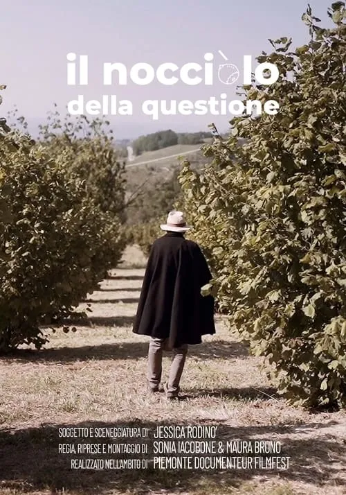 Il nocciolo della questione (фильм)