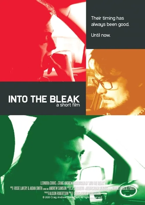 Into the Bleak (movie)