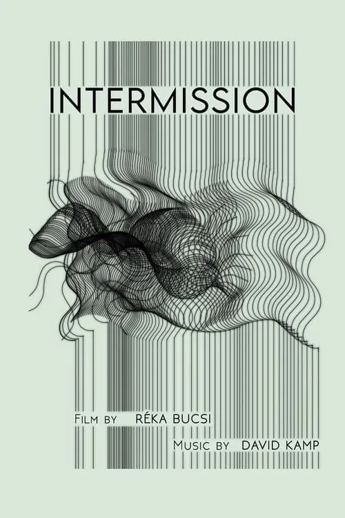 Intermission (movie)