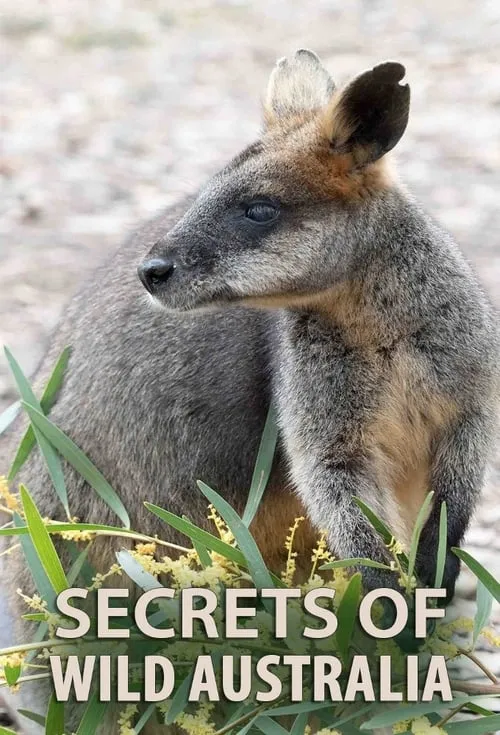 Secrets of Wild Australia (сериал)