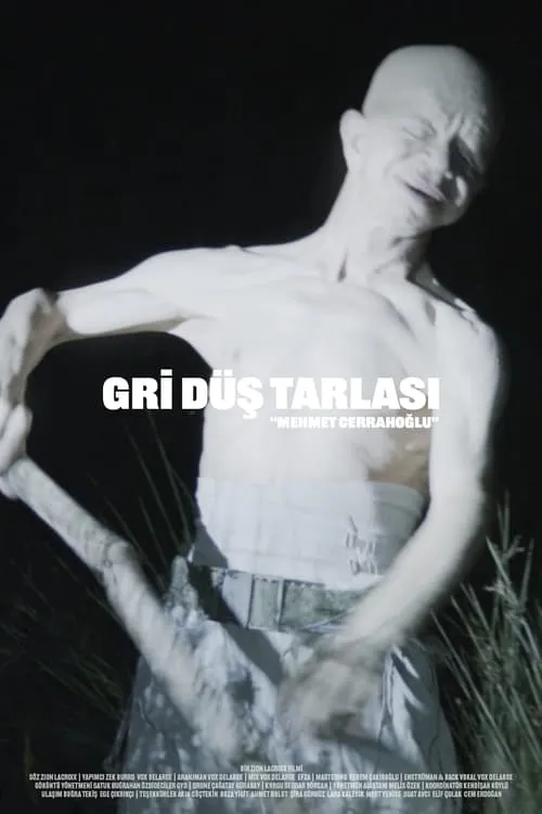 Gri Düş Tarlası