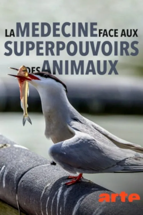 Wild Medicine: Animals' Superpowers (movie)