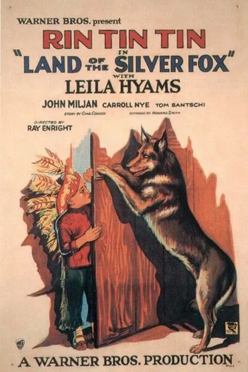 Land of the Silver Fox (movie)