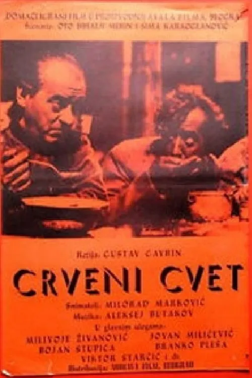 Crveni cvet (фильм)