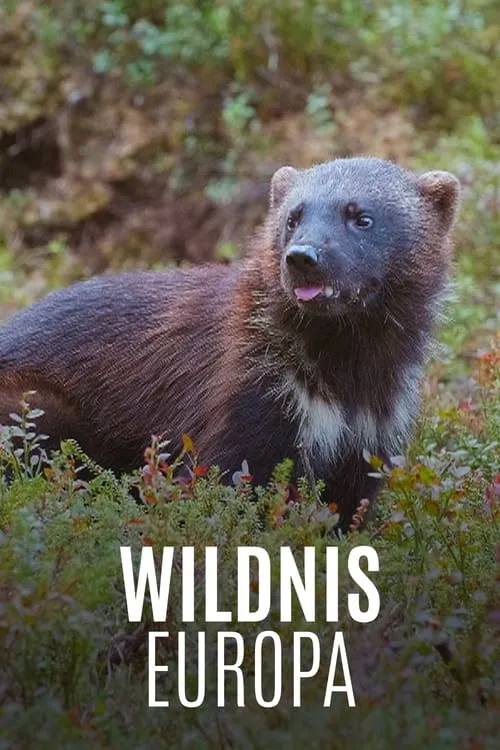 Wildnis Europa (сериал)