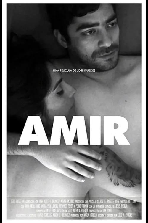 Amir (movie)