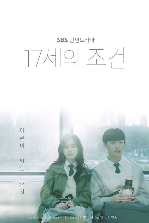 17세의 조건 (сериал)